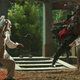 Tiger Master faces off with Dragon Master in the kung fu-nale.